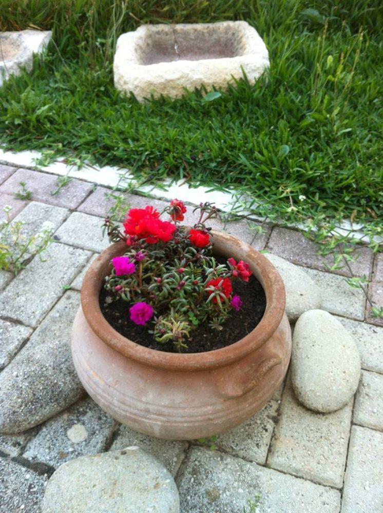 Liostasi Retreat * Argostoli (Kefalonia)